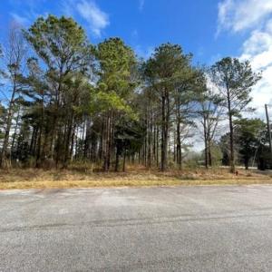 Photo #2 of New, Columbia, NC 4.5 acres