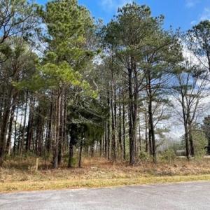 Photo #3 of New, Columbia, NC 4.5 acres