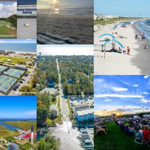 Collage Oak Island