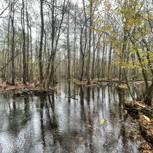 IMG_6816