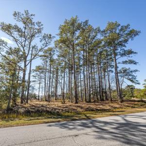 3-web-or-mls-1S3A0482