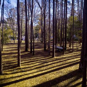 Lot 50 Gilgo Road, Oriental, NC 28571