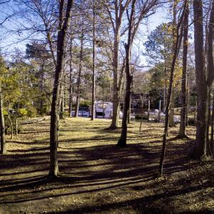 Lot 50 Gilgo Road, Oriental, NC 28571