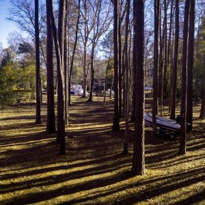 Lot 50 Gilgo Road, Oriental, NC 28571