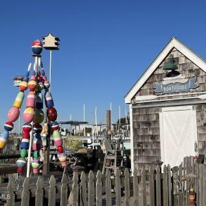 Southport Fall 2025 (8)