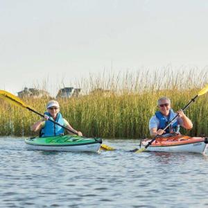 Kayakers in OKI (1)