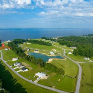 Lot 368 - with lines (5)