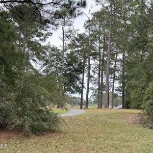 Back view to cart path