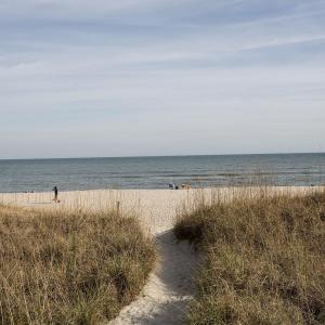 Sumter105closebchacc ShaneL33A0703 copy