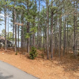 10-web-or-mls-DJI_0274