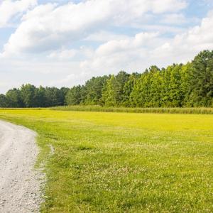 300 Cabin Creek Lane, Merritt, NC 28556