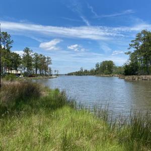 300 Cabin Creek Lane, Merritt, NC 28556