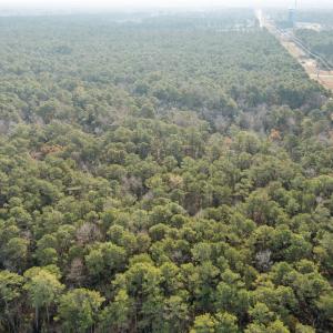 10-web-or-mls-DJI_0412