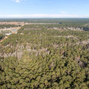 4-web-or-mls-DJI_0397