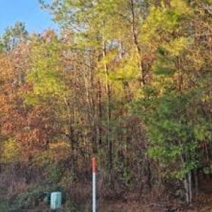 -8051014348561375577