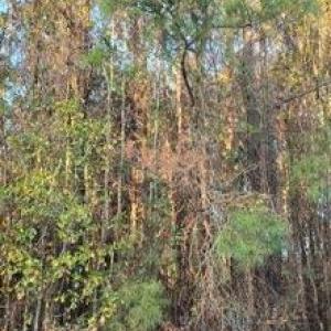 -4077019697882953068