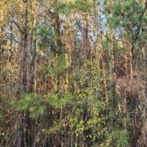 -2852844855709371030