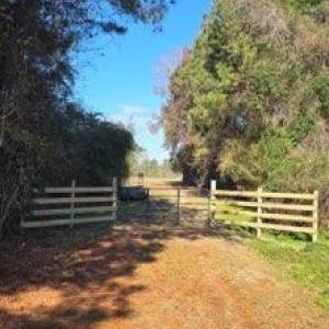 -5047795728211904306