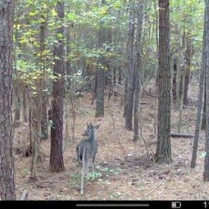 -5359027586820103637