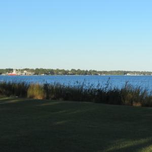 IMG_2394