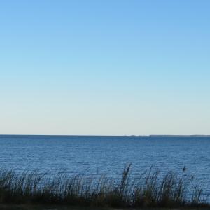 IMG_2395