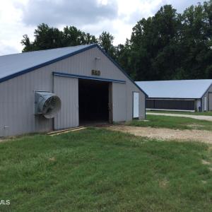 Old Field Cemetery Tupelo