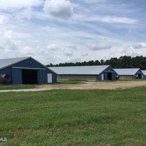 Old Field Cemetery Memphis
