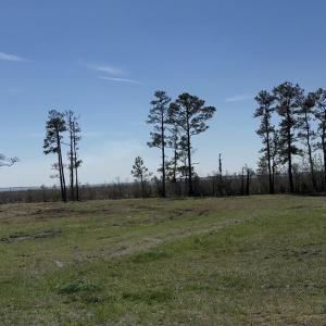 Photo #2 of 348 Battalina, Belhaven, NC 2.1 acres