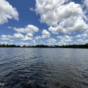 IMG-8895