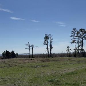 Photo #3 of 342 Battalina, Belhaven, NC 2.7 acres