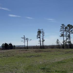 Photo #3 of 342 Battalina, Belhaven, NC 2.7 acres