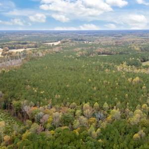 8-web-or-mls-DJI_20251027131305_0041_D