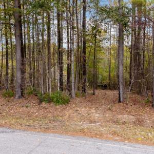 14-web-or-mls-DJI_20251027131939_0047_D