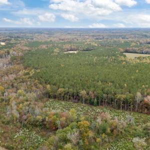 6-web-or-mls-DJI_20251027131227_0039_D