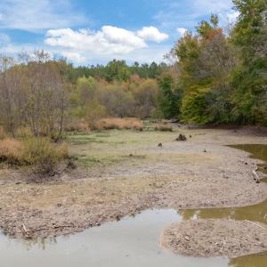 16-web-or-mls-DJI_20251027132329_0049_D