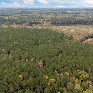 11-web-or-mls-DJI_20251027131703_0044_D