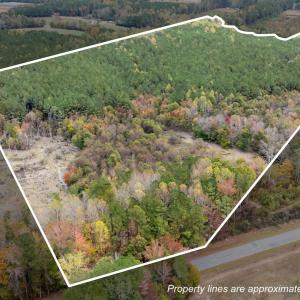 2-web-or-mls-DJI_20251027131122_0037_D_1