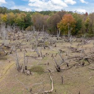 17-web-or-mls-DJI_20251027132407_0050_D