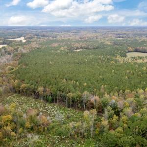 7-web-or-mls-DJI_20251027131241_0040_D