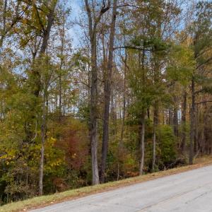 13-web-or-mls-DJI_20251027131912_0046_D