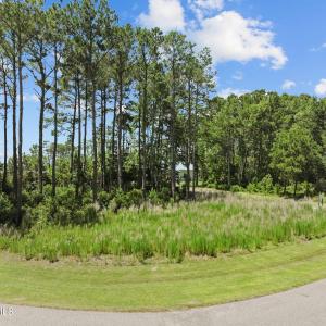1-web-or-mls-DJI_0954