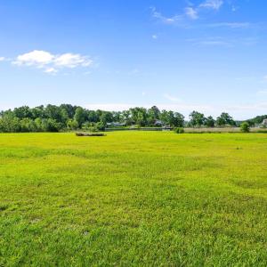 17-web-or-mls-DSC02156