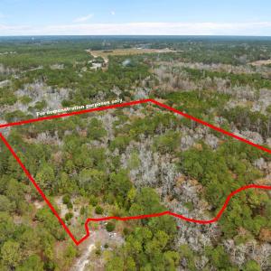 hale swamp rd lot - 10