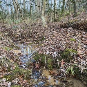 creeklot23