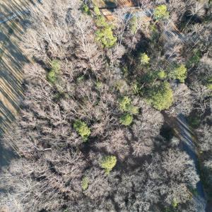 DJI_0059
