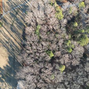 DJI_0058