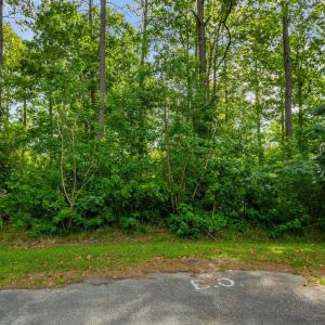 21-web-or-mls-DSC00981