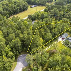 2-web-or-mls-DJI_0940 copy