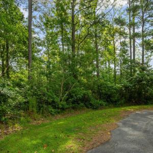 22-web-or-mls-DSC00982