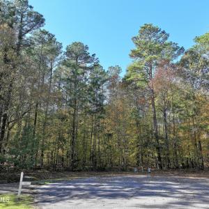 DJI_20251112115808_0401_D